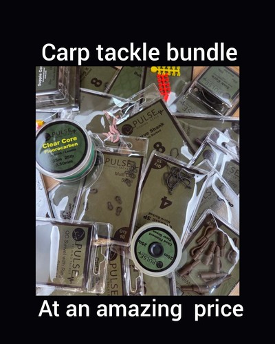 Carp fishing terminal - fishing, tackle