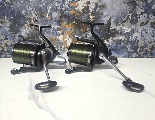 Daiwa tournament basia - basia, 45