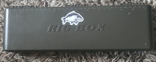Carp fishing - carp,