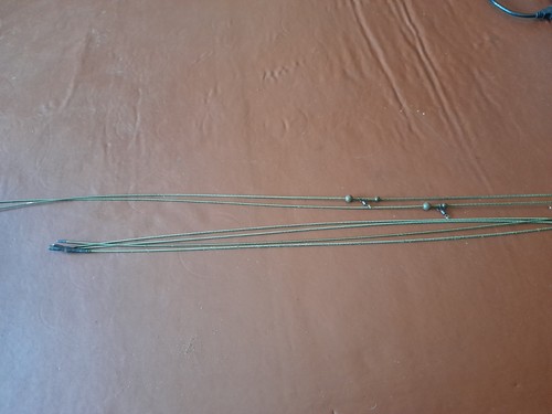Carp tackle rig - carp,