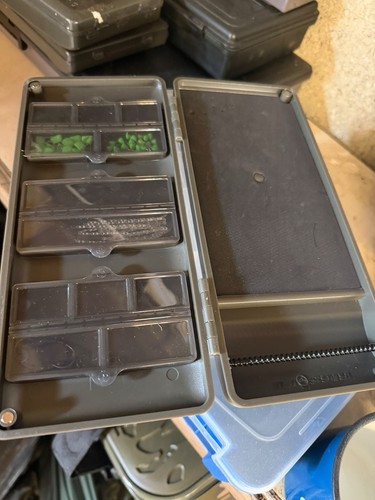 Korda rigsafe carp fishing - rigsafe,